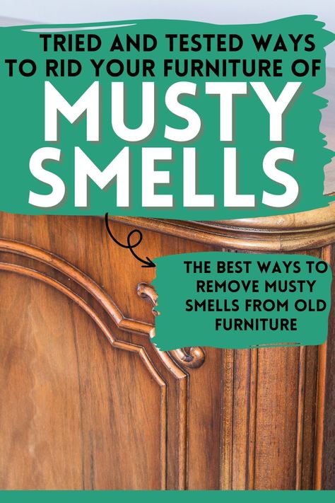 Musty Smell In House, Old House Smells, Old Wood Furniture, Mold Smell, Cleaning Wood Furniture, Leather Couches, Cleaning Wood, Old Dressers, Furniture Repair