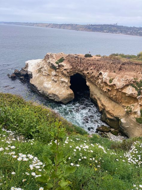 La Jolla Cove San Diego, Uc San Diego Aesthetic, Ucsd Aesthetic, Oregon Coast Roadtrip, Campus Aesthetic, Cali Vibes, Cali Trip, San Diego City, La Jolla Beach