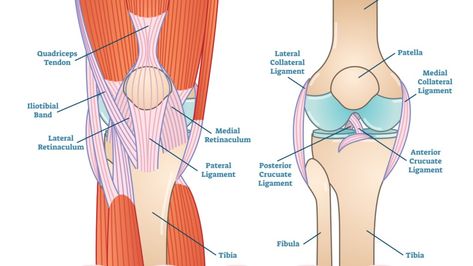 Sore, Creaky Knees? These Stretches for Knee Pain Ease Discomfort and Improve Mobility Stretches For Sore Knees, Creaky Knees, Stretches For Knee Pain, Sore Knee, Stretches For Knees, Sore Knees, Remedies For Glowing Skin, Organic Serum, Improve Mobility