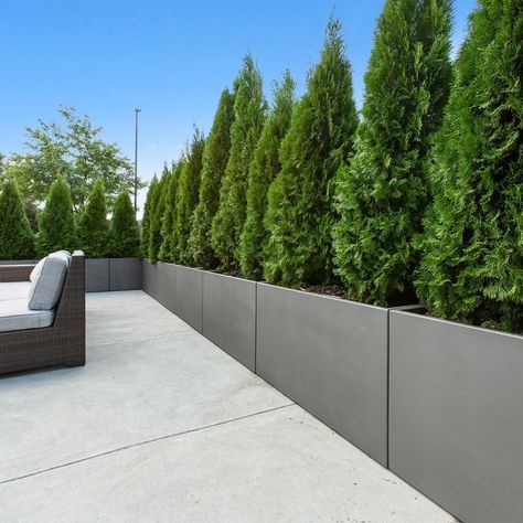 Large Planter Boxes, Design On A Budget, Backyard Design Ideas, Contemporary Planters, Privacy Landscaping, نباتات منزلية, Modern Backyard Landscaping, Rectangular Planters, Modern Backyard