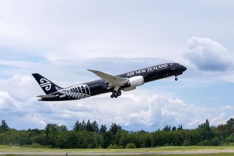 AirlineRatings.com reveals the top carriers around the world in terms of safety performance heading into the new year. Scuba Diving Australia, New Zealand Adventure, Australia Backpacking, Visit New Zealand, Māori Culture, Australian Beach, Air New Zealand, Visit Australia, Visit Florida