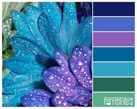 Purple Green Teal Color Palette, Purple Teal Black Color Palette, Blue Green Purple Colour Palette, Blue Violet Palette, Blue Green Violet Colour Palettes, Peacock Color Scheme, Pantone Colour Palettes, Peacock Colors, Purple Color Palettes