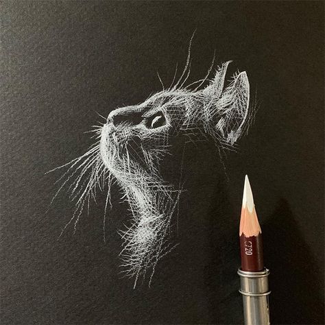 Black Paper Drawing, Söt Katt, Black Backdrops, White Pencil, Paper Drawing, Black And White Drawing, Black And White Illustration, Color Pencil Drawing, Charcoal Drawing