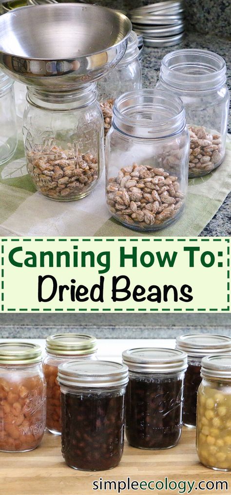 Canning White Beans, How To Can Dried Beans, How To Can Dry Beans, Canning Dry Beans Pressure Cooker, Pressure Canning Beans, Canning Dry Beans Without Soaking, Canning Dry Goods, Dry Pack Canning, Canning Pantry Storage