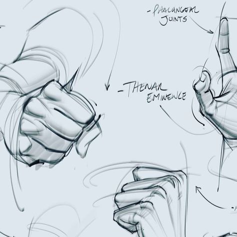 Hand Gestures Drawing Sketches, Hands Palm Up Reference, Hand Gripping Face Reference, Hand Grabbing Head Reference, Hand Reference Open Palm, Thumbs Up Sketch, Fist Reference Drawing, Hand Poses Drawing Art Reference, How To Draw Knuckles