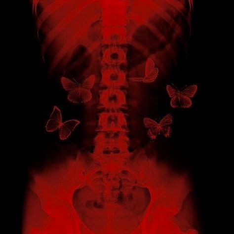 Aesthetic Status, Red Aesthetic Grunge, Shreya Ghoshal, Louisville Kentucky, Butterflies, Red