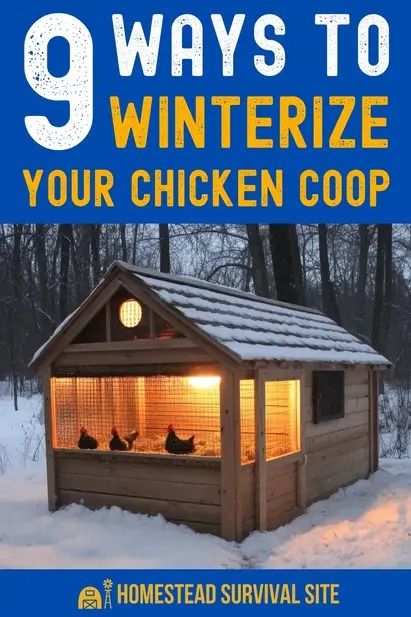 Ensure the safety and comfort of your chickens in the winter with these tips on how to winterize your chicken coop. Keep your chickens happy and healthy all winter long. Chicken Coop Cold Climate, Winter Chicken Coop, Chicken Coop Winter, Easy Outdoor Diy, Old Fashioned Skills, Homestead Inspiration, Outdoor Diy Ideas, Homesteading Diy Projects, Chickens 101