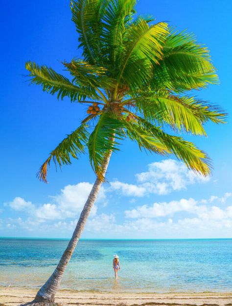 10 Best Things To Do In The Lower Keys You Shouldn't Miss! - Florida Trippers Big Pine Key Florida, Longboat Key Florida, Florida Keys Beaches, Key West Beaches, Dry Tortugas National Park, Florida Adventures, Hiking Spots, The Florida Keys, Visit Florida