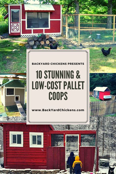 Chicken Coop Pallet Ideas, Pallet Chicken Coop Ideas Diy, Chicken Coop Pallets Plans, Chicken Coop Made With Pallets, Chicken House Pallets, Palette Chicken Coop Diy, Pallet Coop Plans, Simple Coop Ideas, Chicken Coop Ideas Pallet