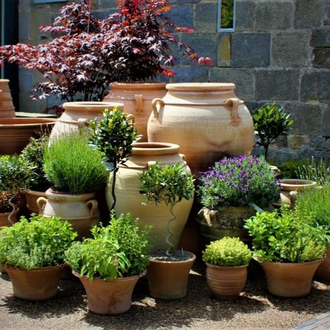 Add different heights when landscaping a developing garden design to create a beautiful back yard display. Using a range of Pots and Pithoi pots and flowers. Garden Pots Arrangements, Garden Pot Arrangements, Plant Pot Display Outdoor, Garden Pot Arrangement Ideas, Tiered Pots Garden Ideas, Pots Arrangement In Garden, Herb Container Garden Ideas Patio, Gardens With Pots, Patio Pots Arrangements