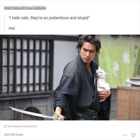 Hate Cats, Meme Page, Banana Fish, Cat Person, Angel Eyes, Best Tv Shows, Crazy Cat Lady, Tumblr Funny, Best Tv