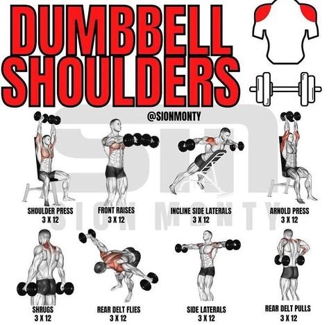 Shoulder Dumbbell Workout, Full Shoulder Workout, Dumbbell Workout Routine, Dumbbells Workout, Dumbbell Workout Plan, Shoulder Workout At Home, Dumbbell Chest Workout, Shoulder Workout Routine, Dumbbell Workout At Home