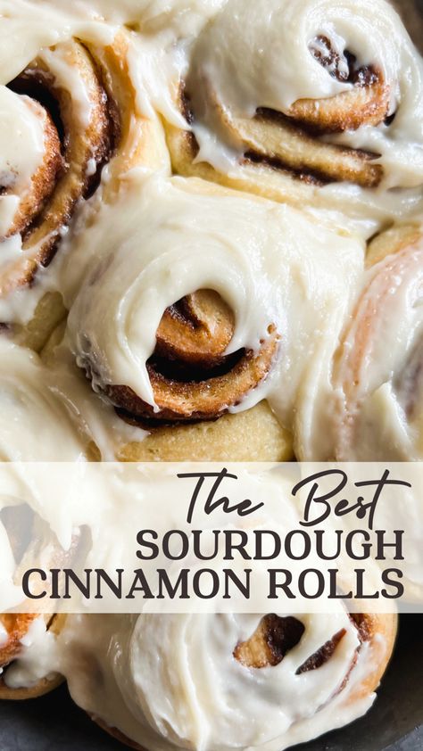 The best sourdough cinnamon roll recipe Fermented Grains, Sourdough Cinnamon Roll, Discard Cinnamon Rolls, Sourdough Discard Cinnamon Rolls, Sourdough Sweets, Sourdough Desserts, Recipe Using Sourdough Starter, Sourdough Cinnamon Rolls, Cinnamon Roll Recipe