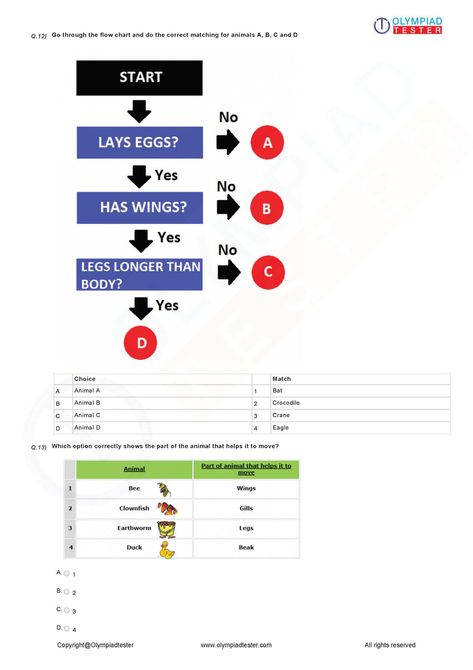 Availability - Always, No of questions - 15, Answer key - Yes Higher Order Thinking Questions, Model Question Paper, Bee Wings, Higher Order Thinking, Sample Paper, Question Paper, Flow Chart, Science, Thing 1