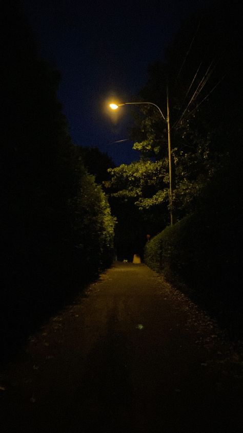 Midnight Walk, Comfort Aesthetic, Dark Forests, Badminton Photos, Rainy Street, Night Pics, Street Pictures, Forest Sunset, Dark Nature