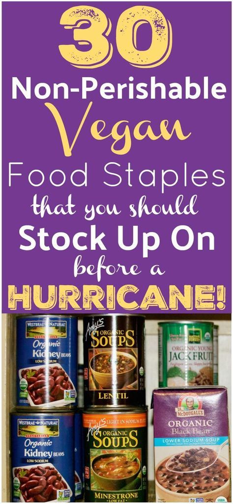 Vegan Hurricane Food Supply List Food Supply List, Best Survival Food, Non Perishable Foods, Food Safety Tips, Emergency Food Supply, Non Perishable, Emergency Preparedness Kit, Emergency Food, Emergency Supplies