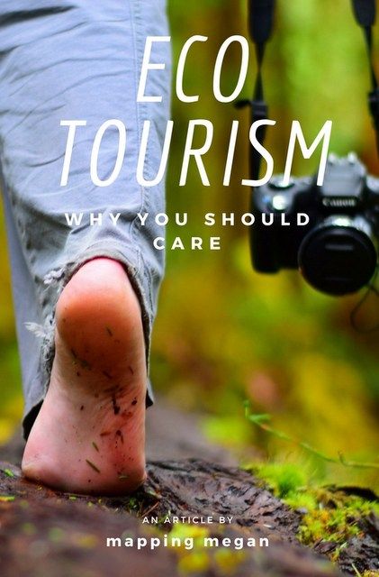 How To Take Care Of The Environment, Eco Tourism Ideas, Eco Tourism, Eco Tourism Architecture, Sustainable Tourism Poster, Sustainable Tourism Illustration, Ethical Travel, Responsible Tourism, Green Travel