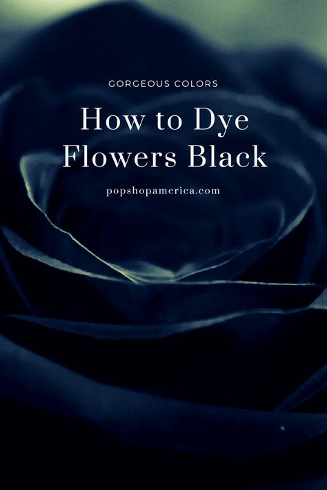 How To Make Black Roses Diy, Diy Black Flowers, Diy Black Roses, Diy Gothic Wedding, Real Black Roses, Wedding Flowers Black, Black Magic Roses, Halloween Flower Arrangements, Rave Wedding