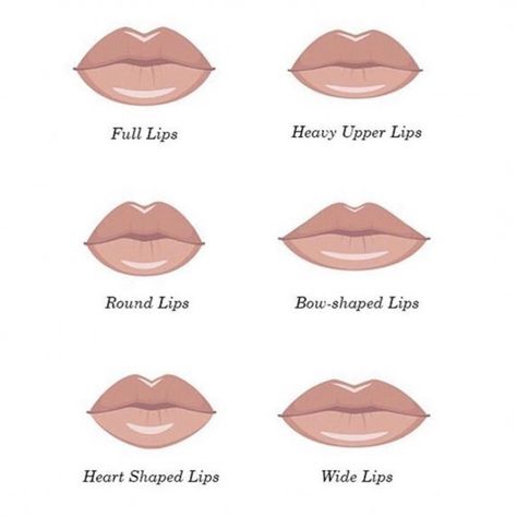 Lip shapes #lipmakeup #lip #makeup #illustration 1ml Lip Filler, Heart Shaped Lips, Lips Sketch, Lips Inspiration, Lips Painting, Botox Lips, Makeup Illustration, Lip Wallpaper, Best Lip Gloss