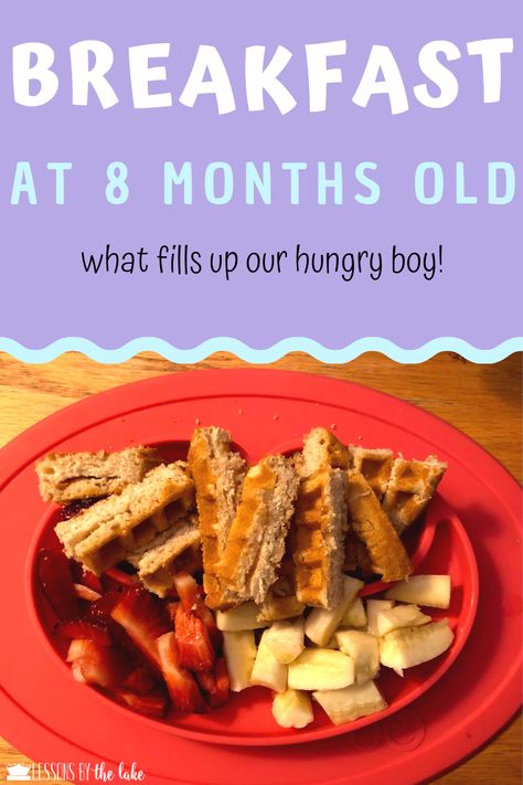 Breakfast 8 Month Old, Finger Foods 8 Month Old, 8 Month Old Breakfast Ideas Blw, 8month Old Breakfast Ideas, Finger Foods For 8 Month Old, Breakfast For Babies 8 Months, Baby Food Breakfast Ideas, Food Ideas For 8 Month Old, 8 Month Old Snacks