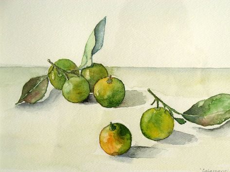 Calamansi - Oils and More - Paintings & Prints, Still Life, Food & Beverage - ArtPal Calamansi Drawing, Calamansi Tattoo, Calamansi Tree, Paintings Prints, Colorful Landscape, Paintings & Prints, Local Artists, Impressionism, Still Life