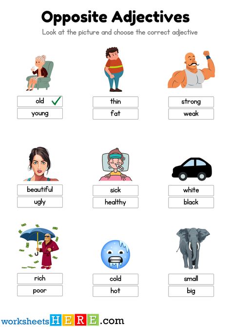 Opposite Adjectives Exercises With Pictures PDF Worksheet For Kids - WorksheetsHere.com Opposite Adjectives Worksheets, Adjective Types, Opposite Worksheet, Adjectives For Kids, Opposite Words For Kids, Adjectives Exercises, Meanings Of Words, Opposites Worksheet, Adjectives Worksheet