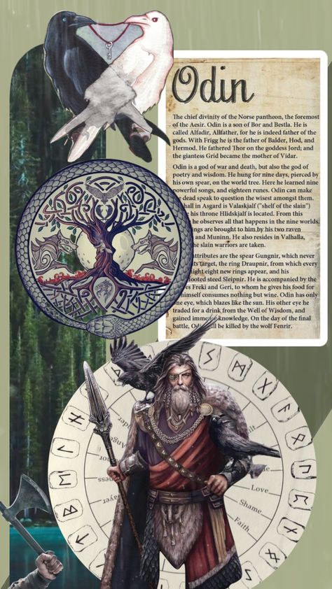 Checkout lifeguidedi's Shuffle #norsemythology #norse #viking #alfadir #allfather #odin #gods #shufflefyp #mythology #mythologyaesthetic #mythological #aestheitc Odin Mythology, Norse Mythology Book, Odin Allfather, Odin Norse Mythology, Odin's Ravens, Mythology Books, Fashion Illustration Collage, Odin God, Norse Pagan