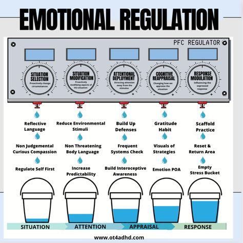 Asd Emotional Regulation, Emotional Bucket, Zone Of Regulation, Sensory Regulation For Adults, Hypoarousal Regulation, Co Regulation, Self Regulation For Adults, Emotion Regulation, Emotional Regulation For Adults