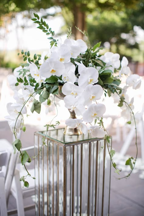 Single Orchid Centerpiece, Low Orchid Centerpieces Wedding, Orchid Aisle Decor, White Orchid Wedding Centerpieces, Wedding Orchids Decoration, Orchid Arch Wedding, Orchid Arrangements Wedding, Planter Centerpiece Wedding, Orchid Wedding Decor