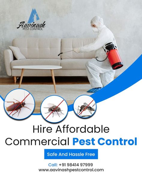 Janitorial Cleaning Services, Rat Control, Cockroach Control, Termite Damage, Rodent Control, Best Pest Control, Eco Friendly Products, Mosquito Control, Termite Control