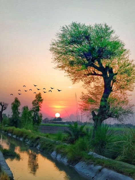 pakistan beautiful village Pakistan Village Photography, Pakistan Aesthetic Photography, Pakistan Village Life, Pakistan Village, Pakistani Village, Rural Painting, Village Vibes, Rural Photography, Quick Painting