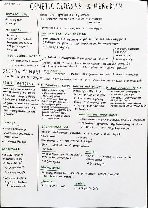 Genetics And Heredity Notes, Biology Notes Genetics, Mendelian Genetics Notes, Geneticist Aesthetic, Genetics Notes Biology, Heredity Notes, Genetics Notes, Genetics Aesthetic, Cell Biology Notes