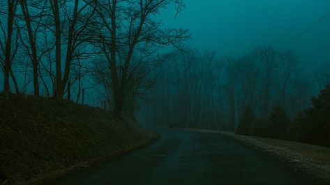 Foggy Wallpaper, Foggy Road, Horror Images, Empty Road, Foggy Weather, Dark Landscape, Gothic Novel, Focus Photography, Most Haunted