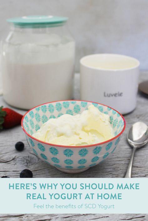 luvele Homemade Almond Milk Yogurt, Luvele Recipes, Yogurt Starter Culture, Goat Milk Yogurt, Cashew Yogurt, Yoghurt Recipe, Almond Milk Yogurt, Probiotic Yogurt, Food Dehydrators