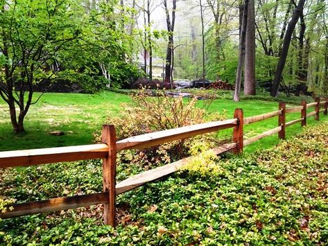 Post & Rail Fencing | Rustic Charm in Putnam County Field Fence, Split Rail Fence, Country Fences, Small Fence, Rustic Fence, Backyard Fence, Front Fence, Lattice Fence, Fence Styles