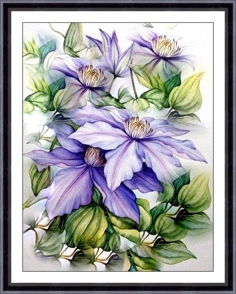 Clematis Trellis Ideas, Clematis Drawing, Clematis Care, Ako Kresliť, Clematis Trellis, Clematis Montana, Trellis Ideas, Clematis Flower, Clematis Vine