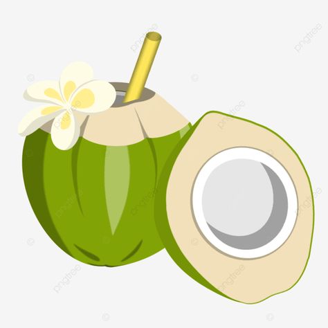 Coconut Water Illustration, Coconut Icon, Coconut Illustration, Tropical Logo, Coconut Summer, Flamingo Clipart, Ice Logo, Coconut Juice, Coconut Fruit