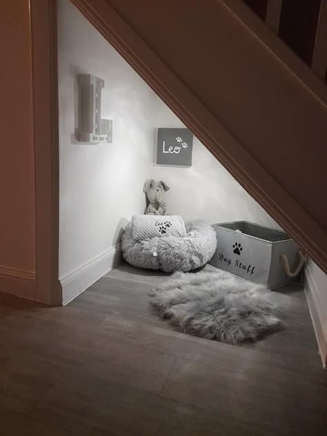 Under The Stairs Dog Area, Under Stair Dog Space, Dog Nook Ideas, Stair Cupboard, Easy Dog House, Bed Under Stairs, Dog Room Design, Under Stairs Dog House, Dog Nook