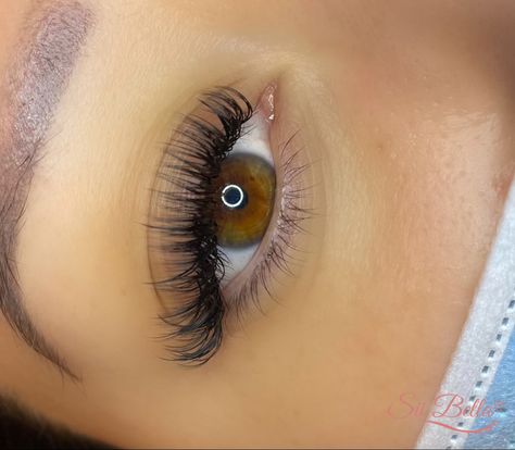 Fake Lashes Hybrid, Classic Volume Lashes, Simple Full Lash Extensions, Eyelash Extension Hybrid, Hybrid Lash Extensions Volume, Lash Extensions Hybrid Natural, Subtle Hybrid Lash Extensions, Light Wispy Hybrid Lash Extensions, Natural Hybrid Lashes Extensions