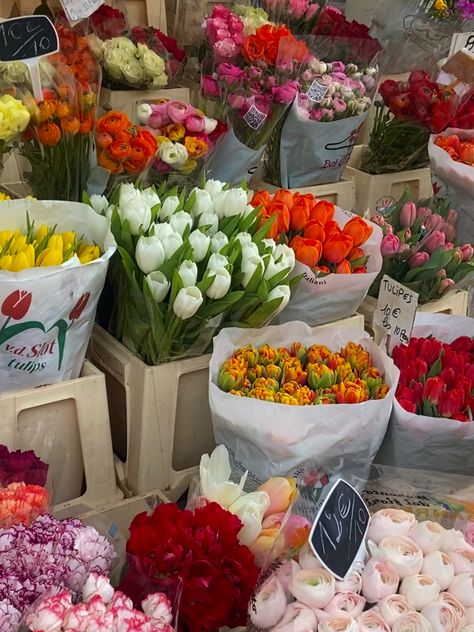 France Spring Aesthetic, Nice Market France, French Flowers Aesthetic, French Spring Aesthetic, Spring In Paris Aesthetic, French Market Aesthetic, Nice France Aesthetic, Spring In France, Flower Market Aesthetic