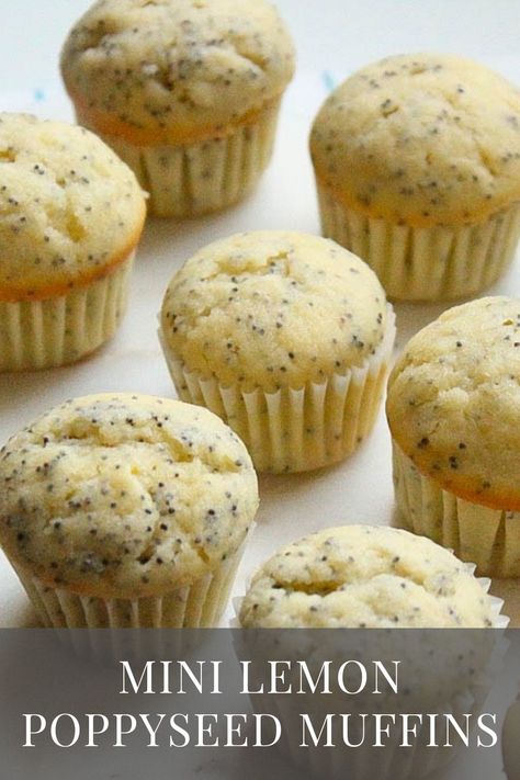 Lemon Poppy Seed Muffins Recipe, Health Dessert Recipes, Lemon Poppy Seed Cookies, Lemon Muffin Recipes, Mini Muffin Recipe, Poppyseed Muffins, Lemon Poppyseed Cake, Poppy Seed Muffins, Lemon Poppyseed Muffins