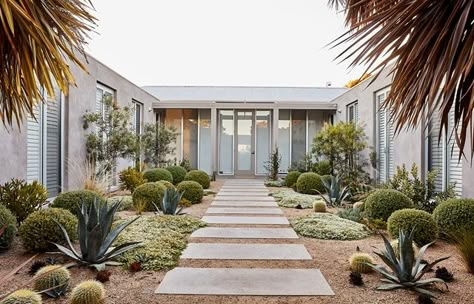 Gravel Garden, Contemporary Coastal, Coastal Gardens, Desert Garden, Garden Features, Courtyard Garden, Modern Landscaping, Garden Cottage, Shade Garden