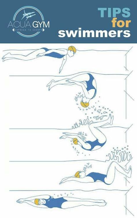 Stretches To Do Before Swimming, Competitive Swimming Pictures, Swimming Lesson Plans, Workouts For Swimmers, Swimming Pool Exercises, Swimming Videos, Swimming For Beginners, Swimming Jokes, Freestyle Swimming