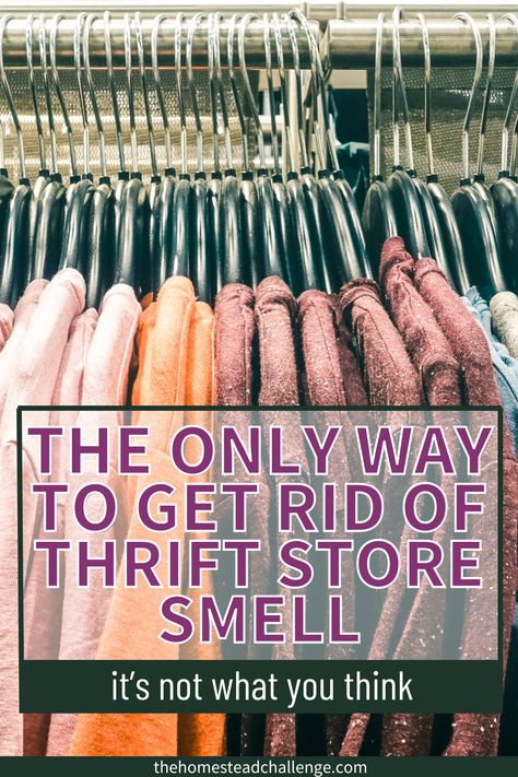 Say goodbye to thrift store smells with our ultimate guide! 🌿🌈 Our latest blog post reveals the expert tips and tricks on how to eliminate that thrift store smell from your treasures. Dive into practical solutions and transformative hacks to refresh your finds. Transform your vintage gems into a breath of fresh air for your home. Ready to reclaim your treasures without the lingering scent? Explore now! 🛍️✨ #ThriftStoreFinds #HomeRefresh #VintageRevival Smelly Clothes, Thrift Store Outfits, Cleaning Advice, Fabric Spray, Vintage Revival, Natural Cleaning, Super Secret, Second Hand Stores, Fitness Advice