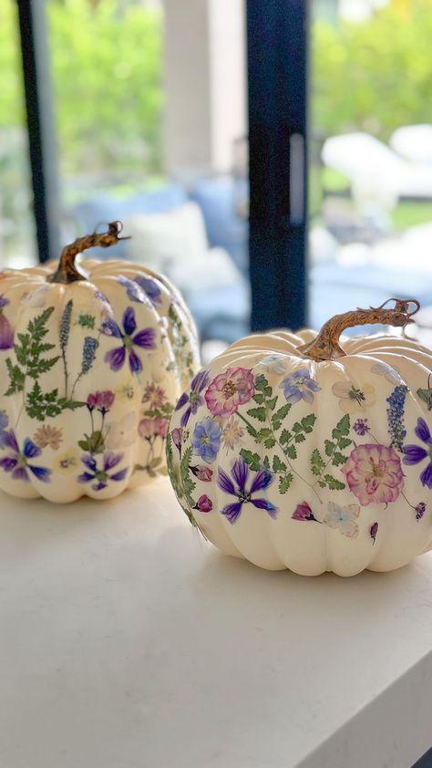 Stephanie Veltri | For a feminine and delicate look to add to your home decor this autumn, dried flower pumpkins are a must! I have all items linked in my... | Instagram Flower Pumpkins, Pumpkin Flower, Feeling Inspired, Diy Pumpkin, Fall Inspo, Feel Inspired, Dried Flower, Cottage Style, Dried Flowers