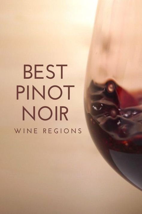 Best Pinot Noir Wine, Wine Facts, Aphrodisiac Foods, Pinot Noir Grapes, Wine Recommendations, Pinot Noir Wine, Eat Something, Raspberry Fruit, Growing Grapes