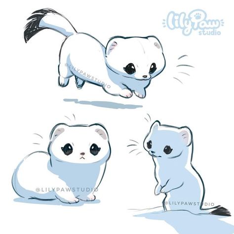 🌸🍃Lily Paw🍃🌸 on Instagram: "Just some ermine studies!🐻‍❄️✨ Lately I have been enjoying doing these sketchy animal studies a lot! I was starting to feel a little burned out of my more complex drawings and decided to let myself be more loose and less worried about perfection, which was very refreshing for my mind 😌✨ Wasn’t going to post them at first because I made them just to have a better understanding of the animal anatomy and shapes but I ended liking them a lot!! So I decided to finall Animals As People Drawings, Cute Forest Animals Drawing, Cute Design Ideas Drawing, Very Cute Animals, Ermine Drawing, Bear Animal, Adorable Animal Drawings, Cute Drawing Animals, Art With Shapes