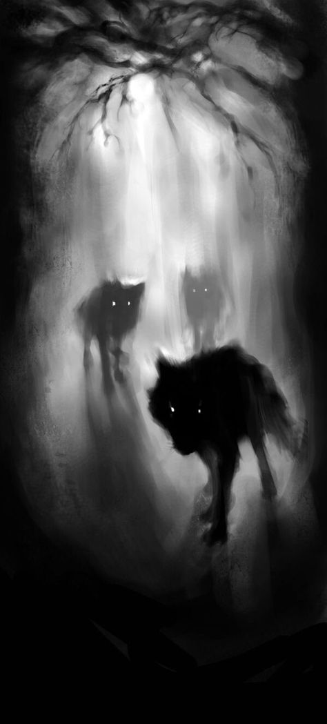 숲 사진, Creature Fantasy, Art Noir, 다크 판타지, Black And White Painting, Wolf Art, Arte Fantasy, Dark Forest, Red Riding Hood