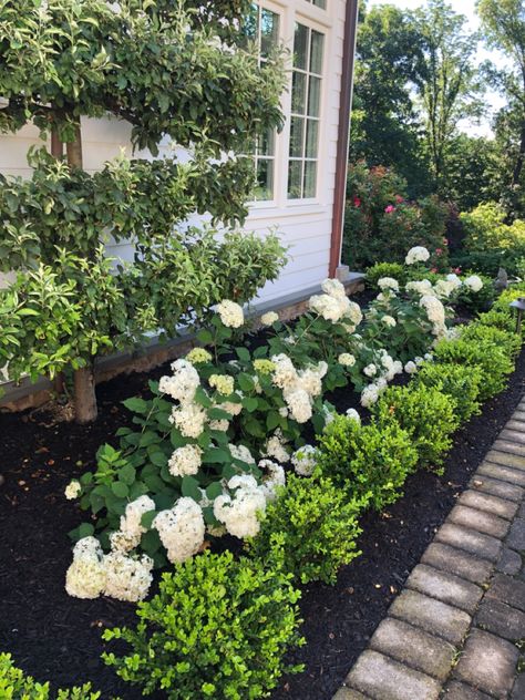 Porch Decor Diy, Acnh Yard, Gemüseanbau In Kübeln, Curb Appeal Landscape, Hydrangea Landscaping, Small Yards, Cheap Backyard, Front Yard Garden Design, Hydrangea Garden