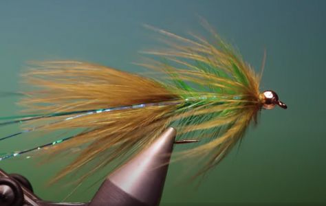 Streamer Fly Patterns, Aquatic Insects, Steelhead Flies, Fly Fishing Flies Trout, Fly Patterns, Fly Box, Salmon Flies, Fly Tying Patterns, Brown Trout